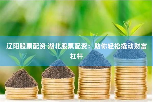 辽阳股票配资 湖北股票配资：助你轻松撬动财富杠杆