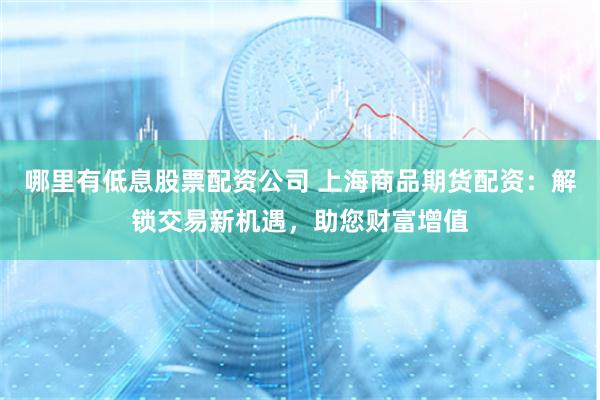 哪里有低息股票配资公司 上海商品期货配资：解锁交易新机遇，助您财富增值