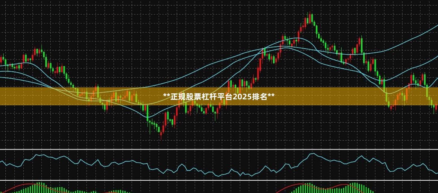 **正规股票杠杆平台2025排名**