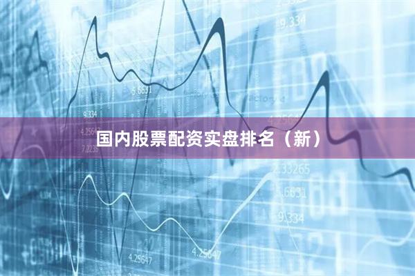 国内股票配资实盘排名（新）