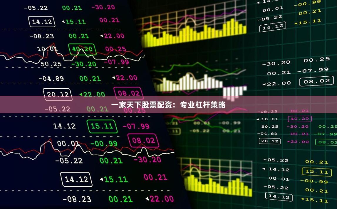 一家天下股票配资：专业杠杆策略